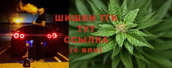гидра Горно-Алтайск