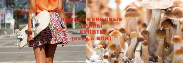 гидра Горно-Алтайск
