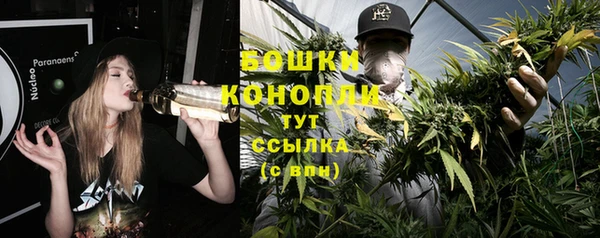 гидра Горно-Алтайск