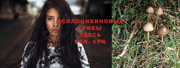 дурь Горнозаводск