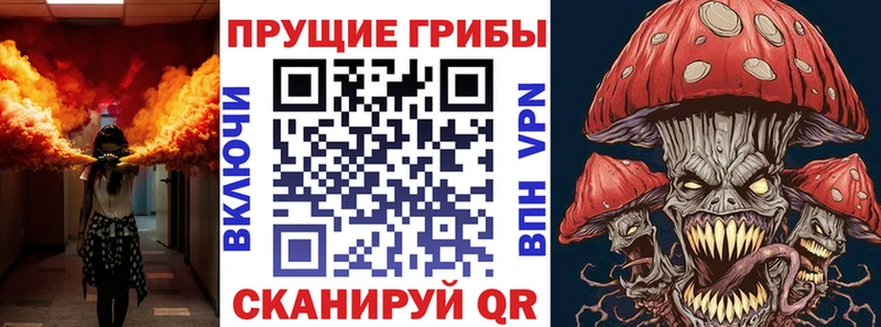 Псилоцибиновые грибы мицелий  kraken маркетплейс  darknet официальный сайт  дарнет шоп  Еманжелинск 